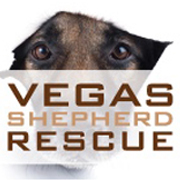 Vegas Shepherd Rescue is a local Las Vegas, NV Rescue focusing on the German Shepherd. New volunteers and dog lovers are welcome to join us anytime!