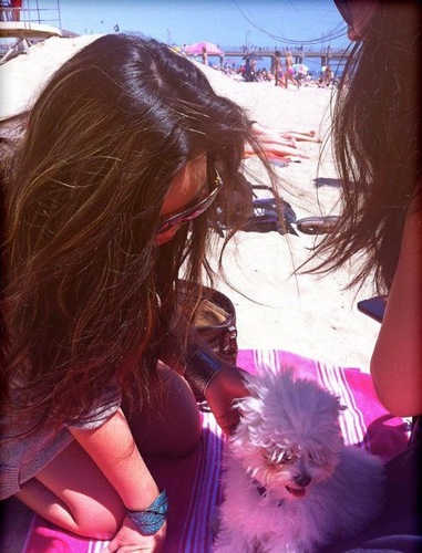 EmilyatWB's profile picture. Orange County flower child with a hand in the tech cookie jar