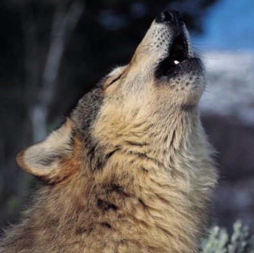 QMF59's profile picture. 