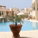 302 Julia House - @302juliahouse - Twitter