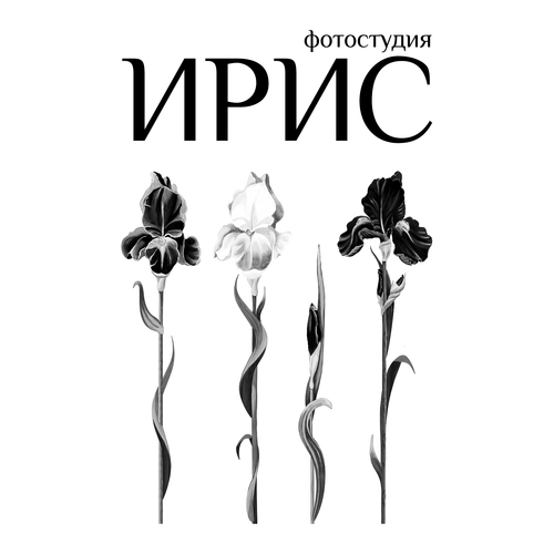 Интерьерная фотостудия.
+7908 24 8888 6, +7908 24 8888 7
