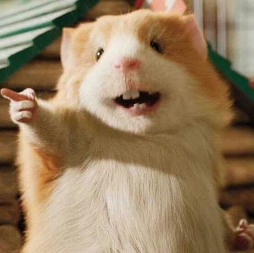 iszell's profile picture. Commodore 8 bit and Amiga maniac/collector/developer. Java developer.