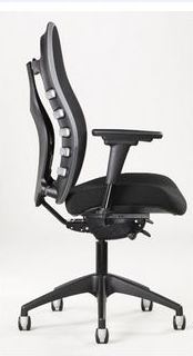 Ergonomic Seating Specialist and Office Interiors Consultant.