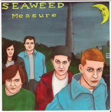 SeaweedBand's profile picture. Guitar band. at your service.