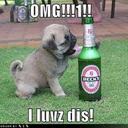 devon dennis - @dragonfly123543 - Twitter