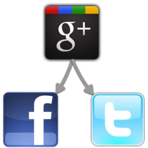 SosyalOtoriteGS's profile picture. Sosyal Otorite