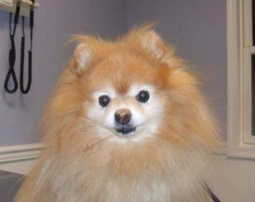 dkbushnell's profile picture. 