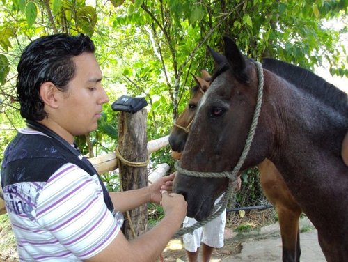 medico veterinario zootecnista