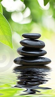Zen Cart Support, Zen Cart Consulting  - Our Team - e-commerce specialists, software developers for Zen Cart, Support Analysts and Very Nice People!