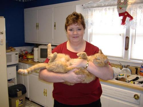 bheerdink's profile picture. Married to my best friend Del for almost 14 years and we have 3 sweet kitties:  Cinnamon, Tigger and Sunny and we love them dearly as they are our children