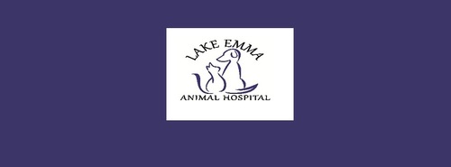 Full service Veterinarian in Lake Mary, FL that also offers boarding and bathing for most pets. Reach Us At: 407-792-3322