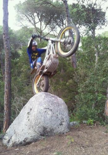 adriantrial's profile picture. 