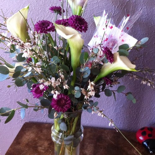 pfoosette's profile picture. Retired from HiTech and enjoying Colorado lifestyle with 4 seasons and chows🐾