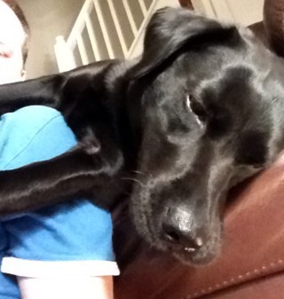 karlshep45's profile picture. 