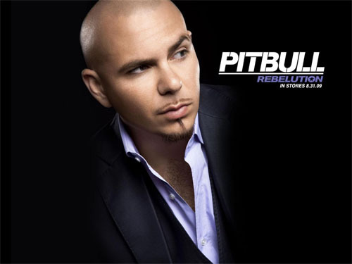 soy una fan de pitbull...