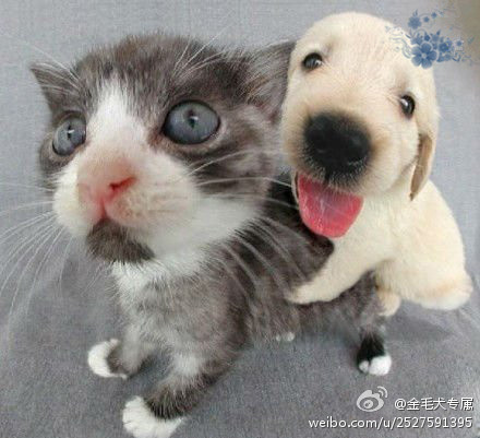 yqiang0311's profile picture. 