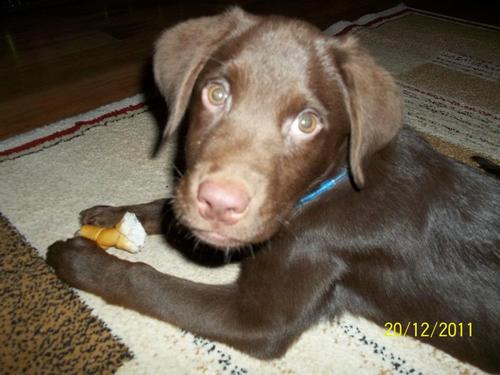 34Michaelwatson's profile picture. 