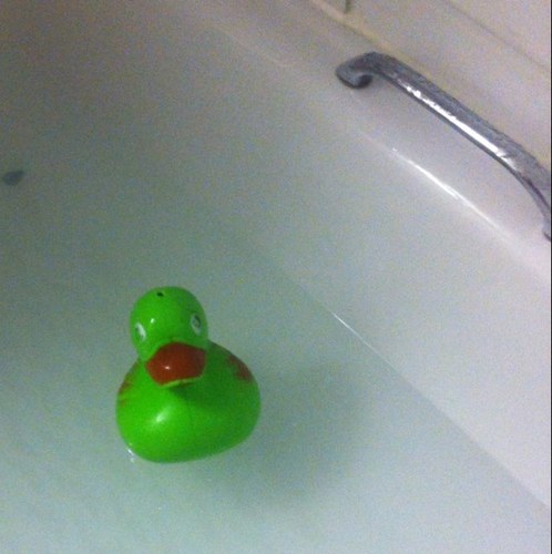 Hayfield_Duck's profile picture. Cricket loving...foul mouthed...naughty ducky... proud supporter of @offsidetrust