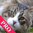 CatSoundz's profile image