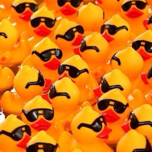 brunoN325's profile picture. 