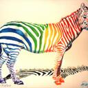 Olivia Lowman - @zebra_538 - Twitter