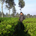 Sayid Agil (@sayid_agil) Twitter profile photo