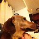 Jared Bridges - @bridges_jared - Twitter