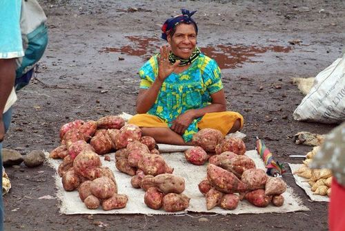 OurPacificWays's profile picture. Reflects on Our Pacific traditions for inspiration to move Our Pacific people forward.