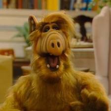 Sleepogold4's profile picture. 