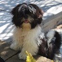 Barb Stratton - @barb_strattob - Twitter