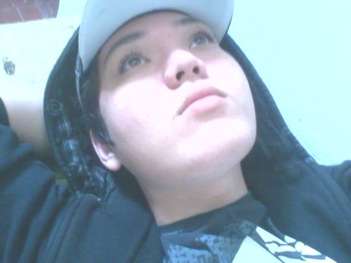 wolf ja discreve tdd