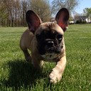 Tyler Free - @TheFreebird6 - Twitter