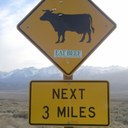 carly lawrence - @carlylawrence11 - Twitter