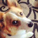 Jason Brook Bradley - @bradleybjason - Twitter