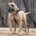 Ezra Harmon - @EzraHarmon - Twitter