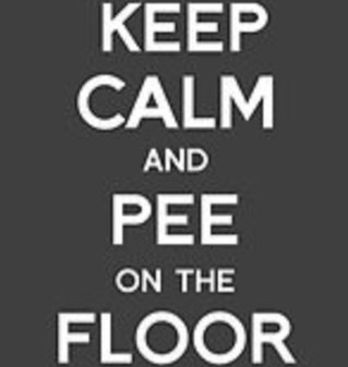 smabladderprobs's profile picture. My bladder is the size of a pea.... But isnt everyones? Haha. Follow me, i follow back :)