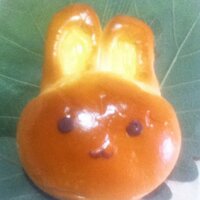 ひみかまる(@himikamaru) 's Twitter Profile Photo