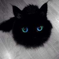 c1tr1c 🇺🇦 (@c1tr1c) 's Twitter Profile Photo c1tr1c 🇺🇦 (@c1tr1c) 's Twitter Profile Photo