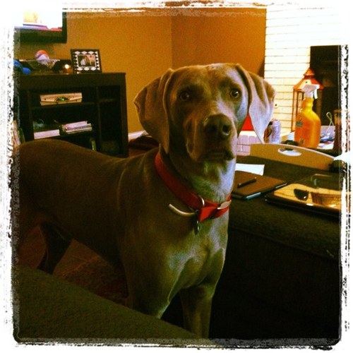 keithdhenry's profile picture. 