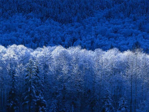 팔로워관리 by http://t.co/wZNzFQqOTU