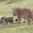 MrPoopy805's profile image