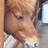 a_hirochan's profile image