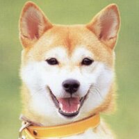 モーリー (@chico1109chico) 's Twitter Profile Photo