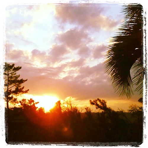 TedShock's profile picture. I fight tigers with coda stalls.