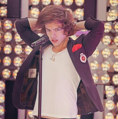 I'm Harry Styles from One Erection, and you're watching 45 and pregnant on TMZ. -draws a pussy....cat with a hotdog-