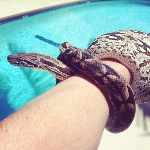 devilfish79's profile picture. 