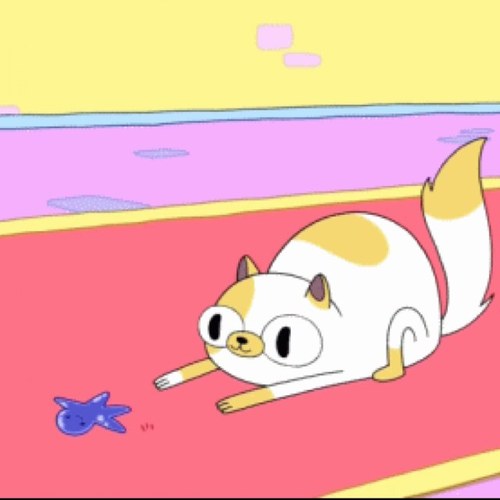Cake the Cat. Yall need men, lonely gurlz.