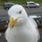SeymourGull's profile image