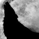 TofzeWolf's profile picture. Environ 90% de ce que dis c'est des conneries. Pour les 10% restants, je m'excuse, je le fais pas exprès.