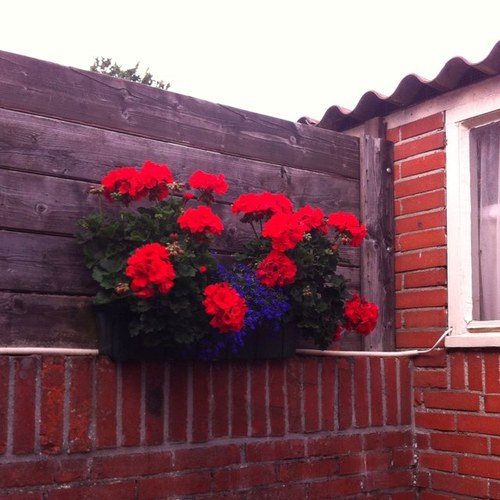 pvisser007's profile picture. 